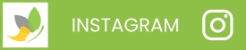 Social Media for The Glamour House in Midland, TX